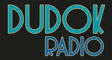 Afbeelding van logo Dudok Radio op radiotoppers.nl.