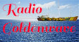 Afbeelding van logo Radio Goldenwave op radiotoppers.nl.